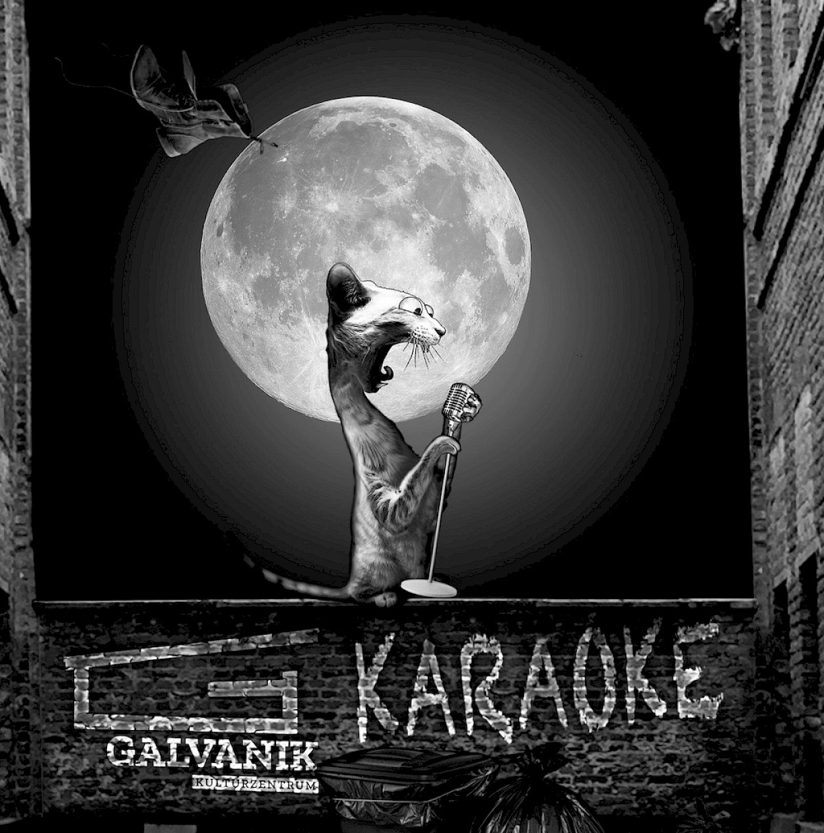 Galvanik Karaoke Night
